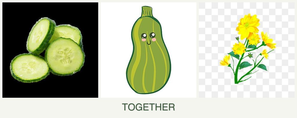 Can you plant cucumbers, zucchini and calendula together?