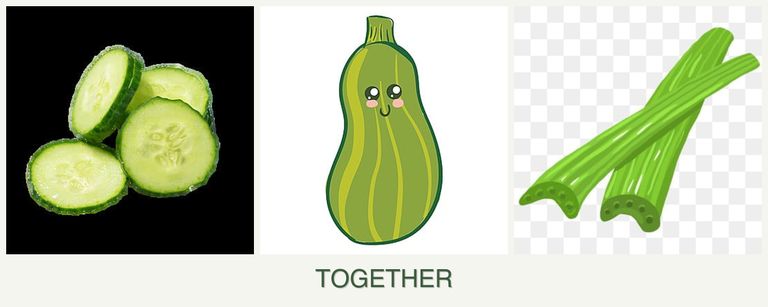 Can you plant cucumbers, zucchini and celery together?