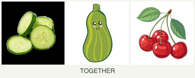Can you plant cucumbers, zucchini and cherries together?