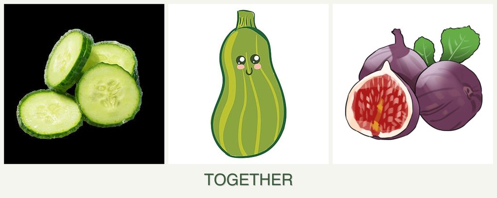 Can you plant cucumbers, zucchini and figs together?