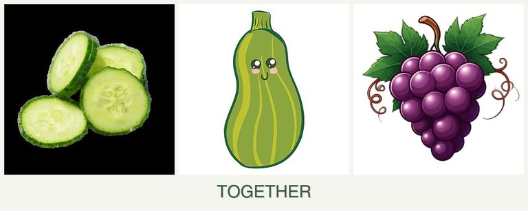 Can you plant cucumbers, zucchini and grapes together?