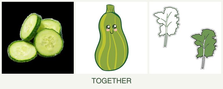 Can you plant cucumbers, zucchini and kale together?