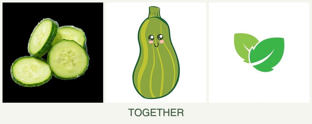 Can you plant cucumbers, zucchini and mint together?