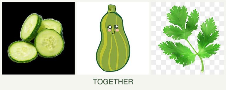 Can you plant cucumbers, zucchini and parsley together?