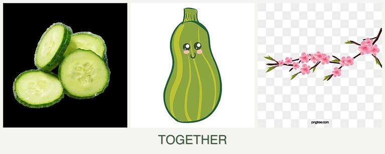 Can you plant cucumbers, zucchini and peaches together?