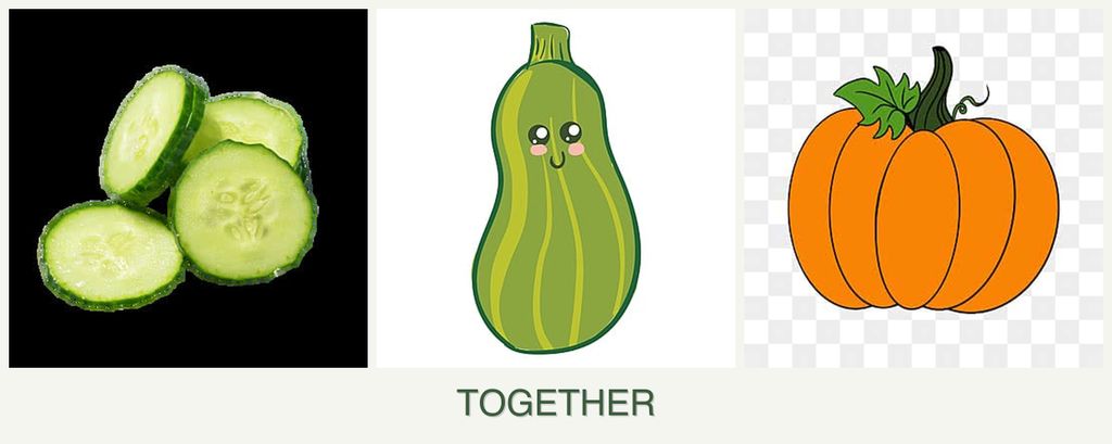 Can you plant cucumbers, zucchini and pumpkin together?