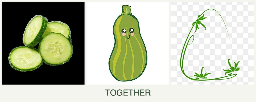Can you plant cucumbers, zucchini and tarragon together?