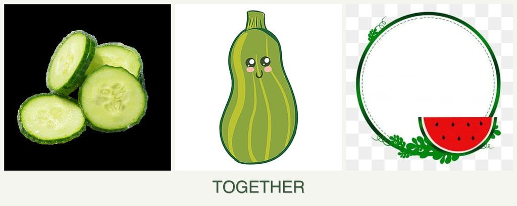 Can you plant cucumbers, zucchini and watermelons together?