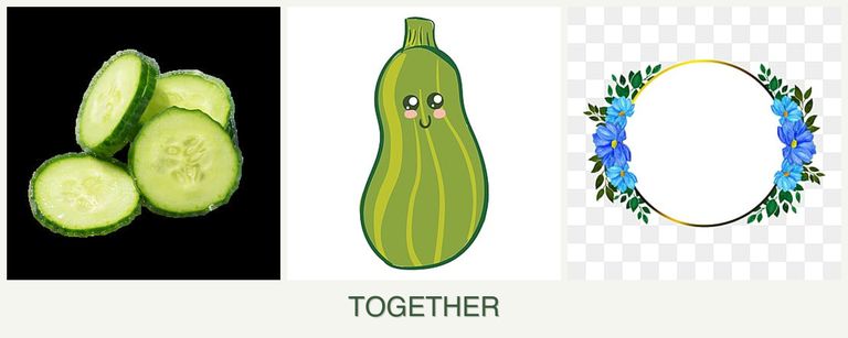 Can you plant cucumbers, zucchini and zinnias together?
