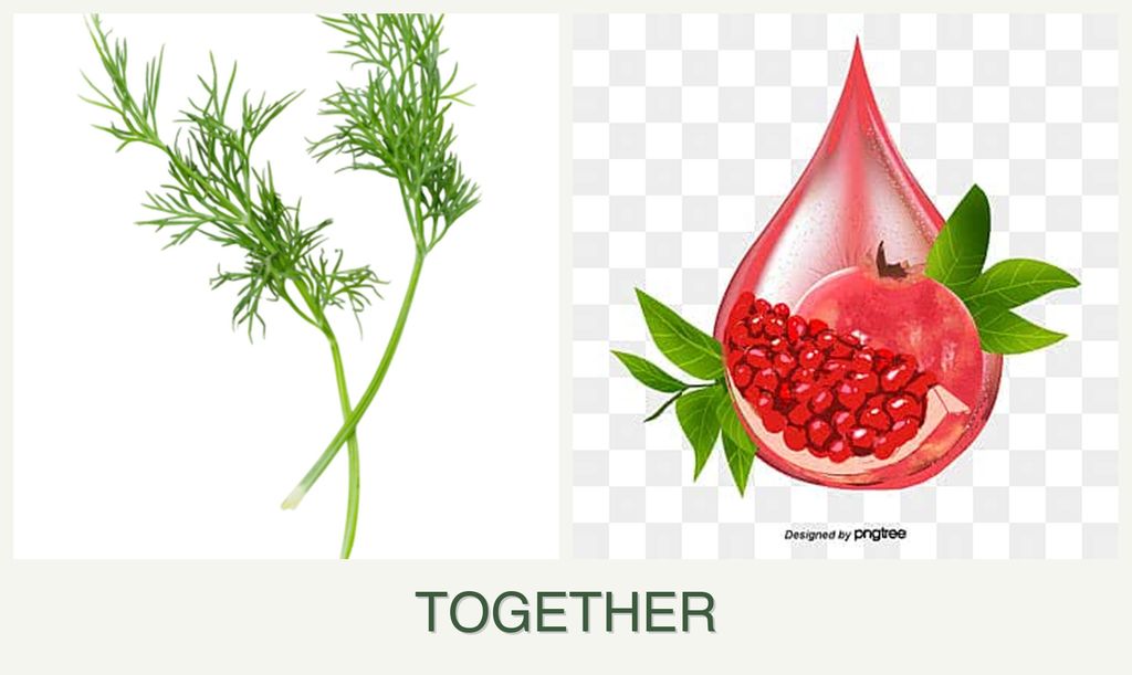 Can you plant dill and pomegranates together?
