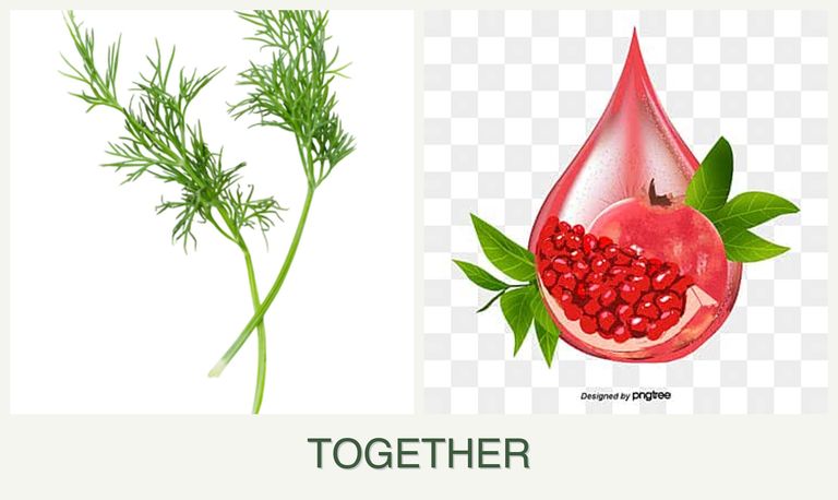 Can you plant dill and pomegranates together?