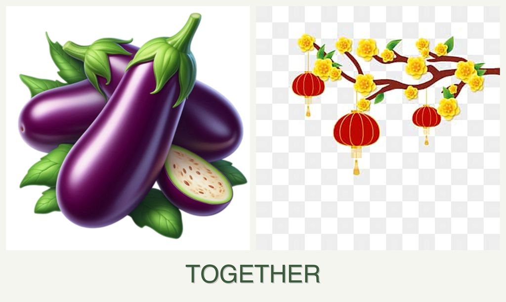 Can you plant eggplant and apricots together?