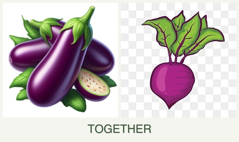 Can you plant eggplant and beets together?