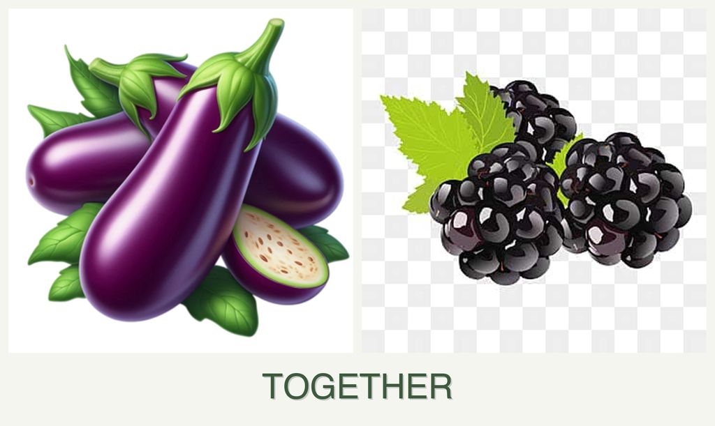 Can you plant eggplant and blackberries together?