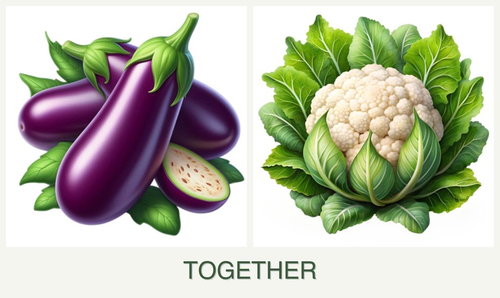 Can you plant eggplant and cauliflower together?