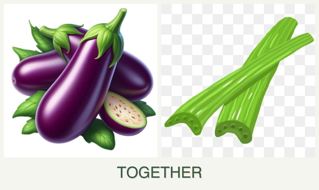Can you plant eggplant and celery together?