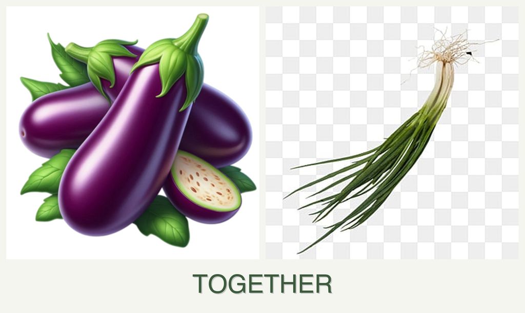 Can you plant eggplant and chives together?