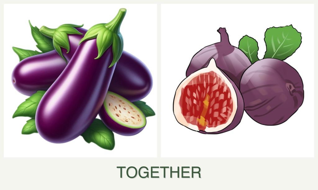 Can you plant eggplant and figs together?