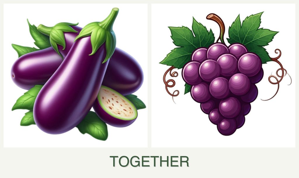 Can you plant eggplant and grapes together?