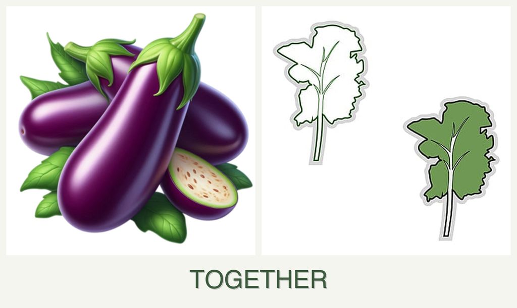 Can you plant eggplant and kale together?