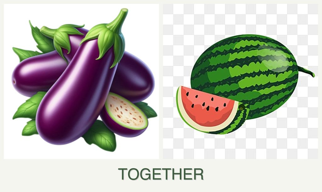 Can you plant eggplant and melons together?