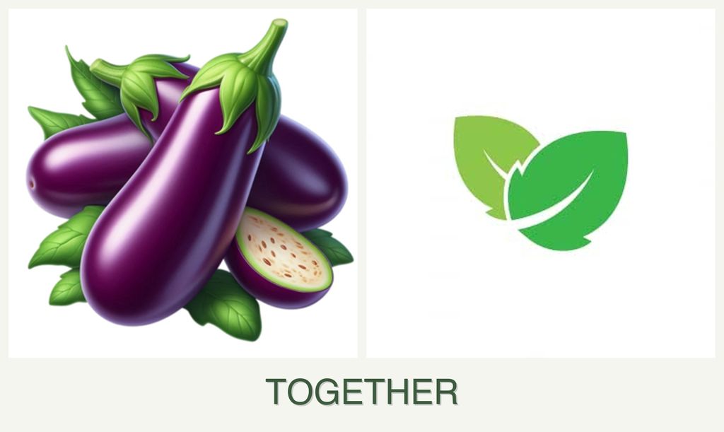 Can you plant eggplant and mint together?