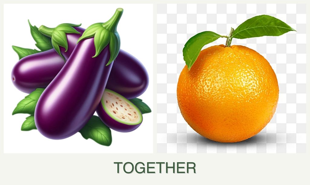 Can you plant eggplant and oranges together?