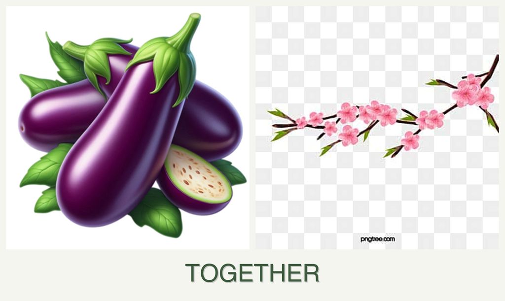 Can you plant eggplant and peaches together?