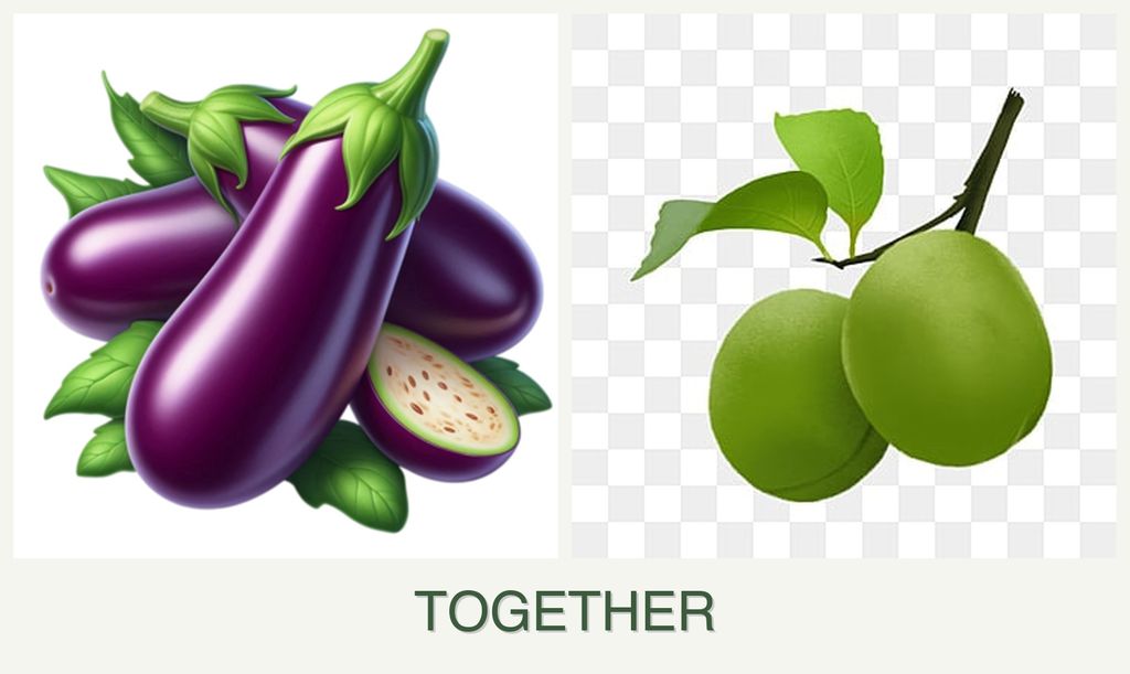Can you plant eggplant and plums together?