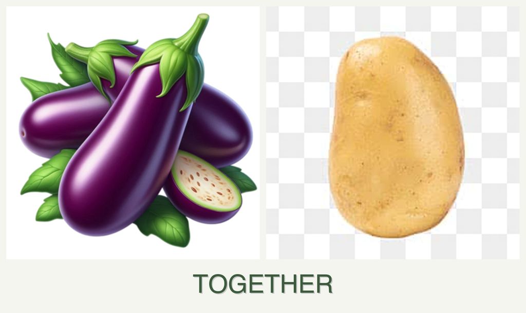 Can you plant eggplant and potatoes together?