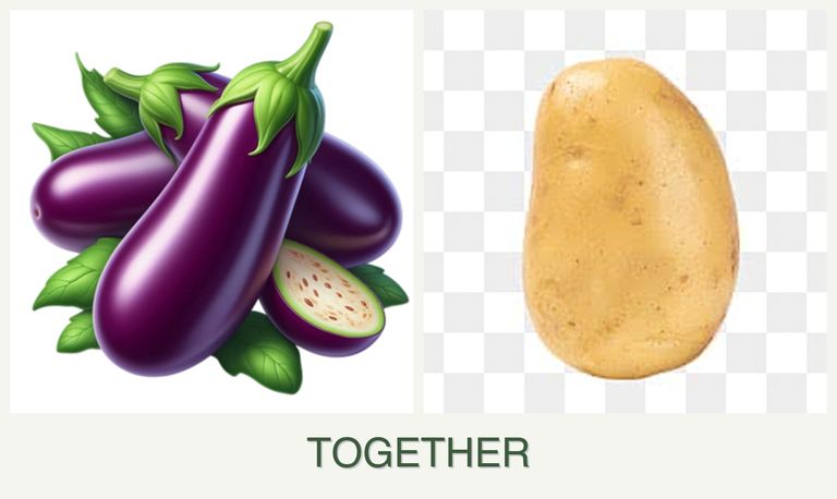Can you plant eggplant and potatoes together?