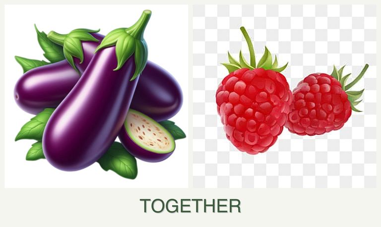 Can you plant eggplant and raspberries together?