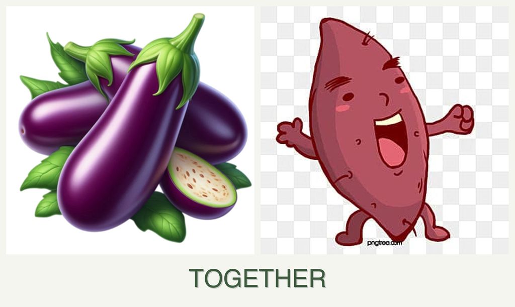 Can you plant eggplant and sweet potatoes together?