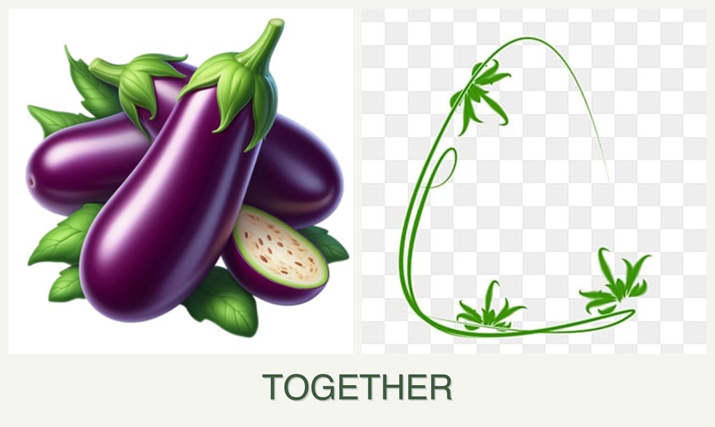 Can you plant eggplant and tarragon together?