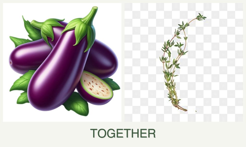 Can you plant eggplant and thyme together?
