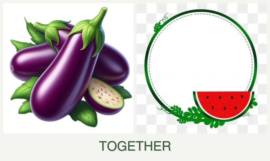 Can you plant eggplant and watermelons together?