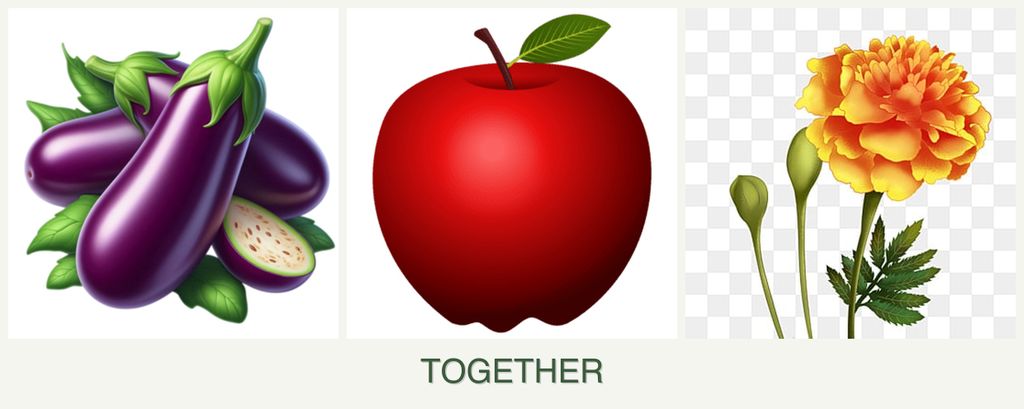 Can you plant eggplant, apples and marigolds together?