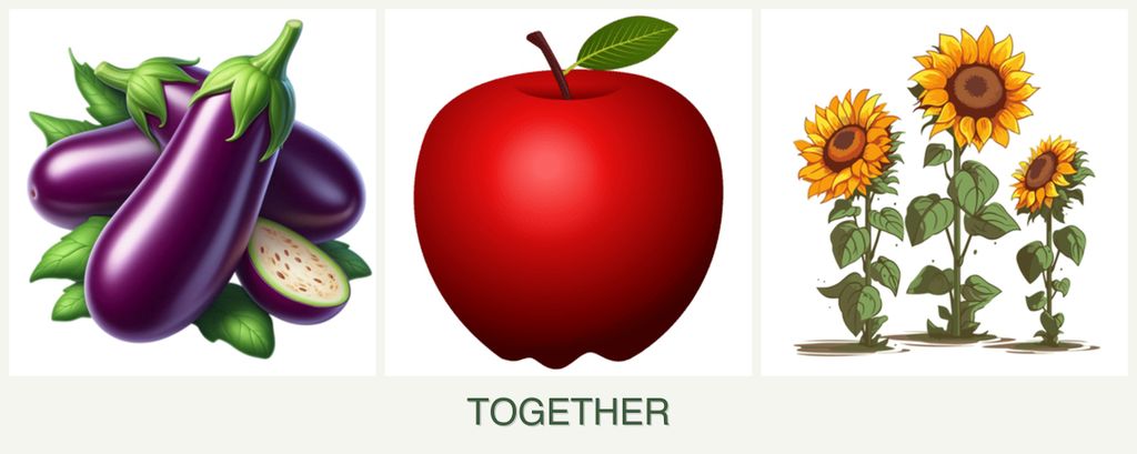 Can you plant eggplant, apples and sunflowers together?