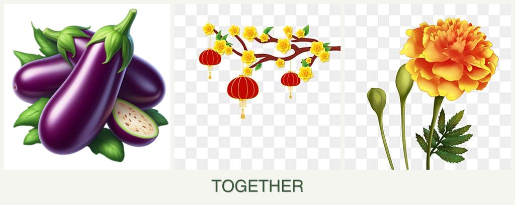 Can you plant eggplant, apricots and marigolds together?