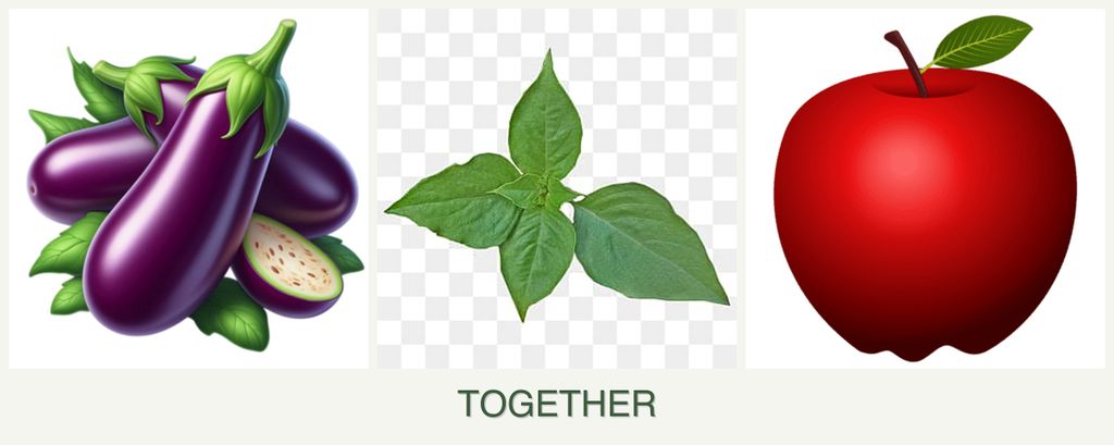 Can you plant eggplant, basil and apples together?