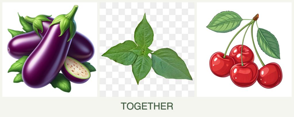 Can you plant eggplant, basil and cherries together?