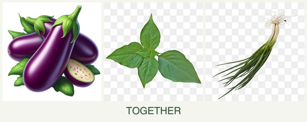 Can you plant eggplant, basil and chives together?