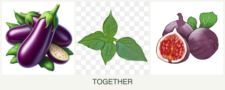 Can you plant eggplant, basil and figs together?