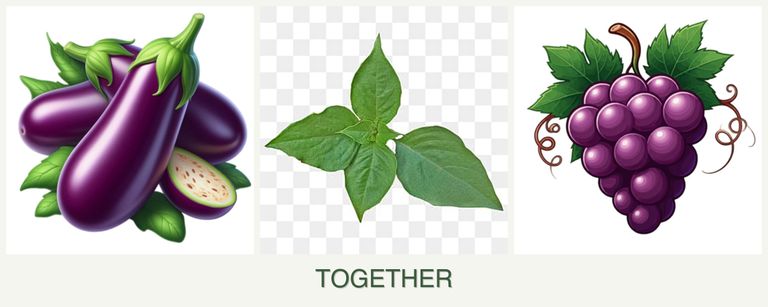 Can you plant eggplant, basil and grapes together?