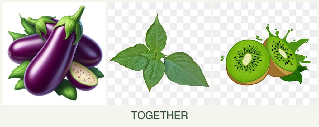 Can you plant eggplant, basil and kiwi together?
