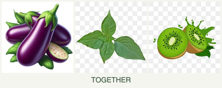 Can you plant eggplant, basil and kiwi together?