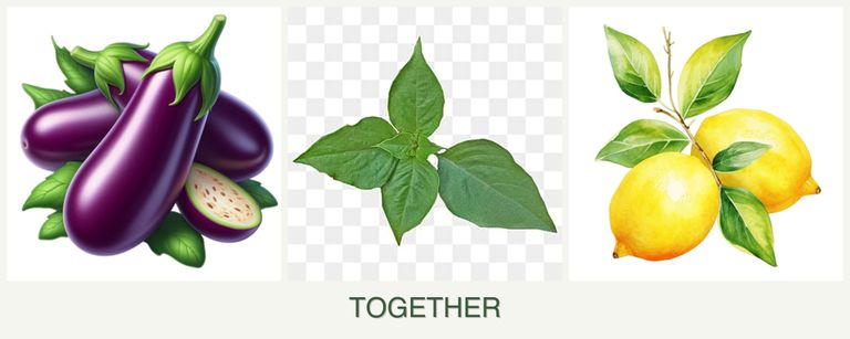 Can you plant eggplant, basil and lemons together?