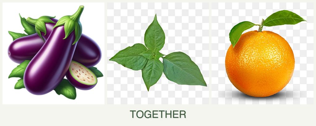 Can you plant eggplant, basil and oranges together?