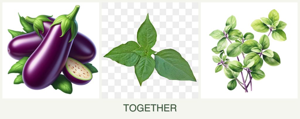 Can you plant eggplant, basil and oregano together?