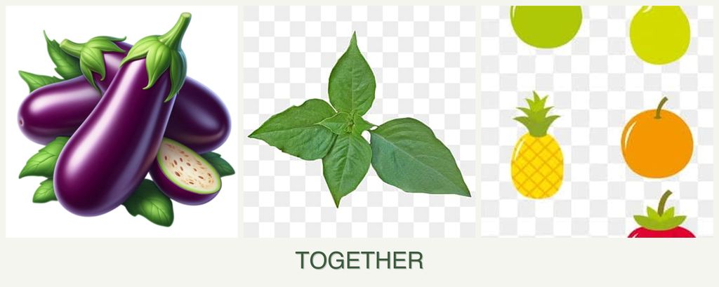 Can you plant eggplant, basil and pears together?